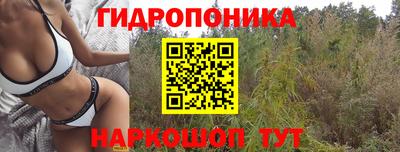 амфетамин Вышний Волочёк