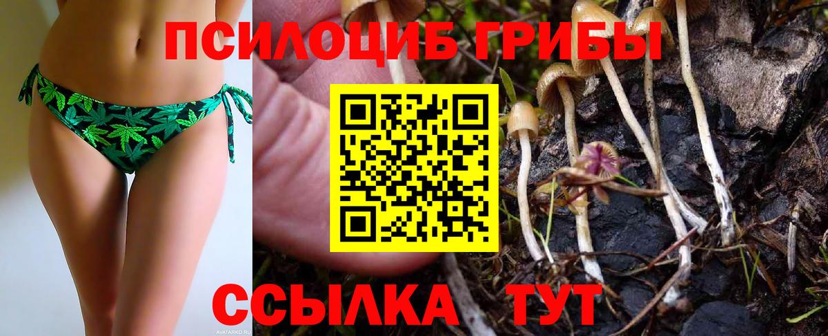 Галлюциногенные грибы MAGIC MUSHROOMS  Вход с VPN  Воркута 