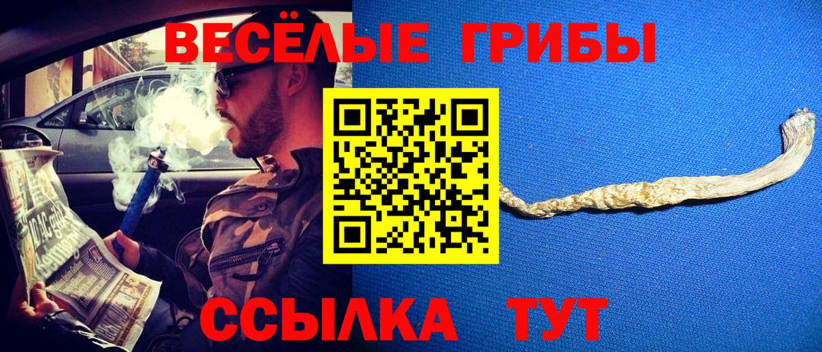 Псилоцибиновые грибы Cubensis Воркута